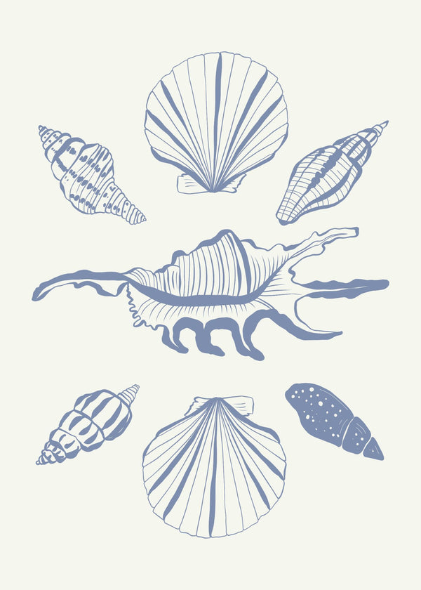 Oceanic Shells Poster