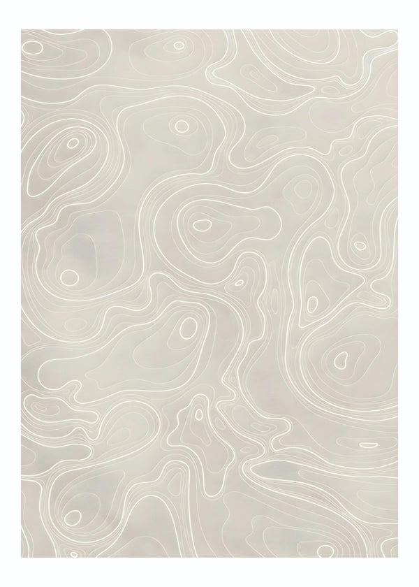 Abstract Topography Poster