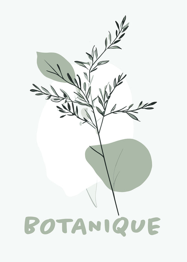 Botanique poster