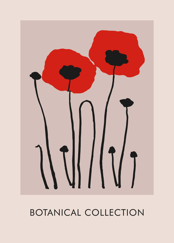 Botanical Poppy Poster