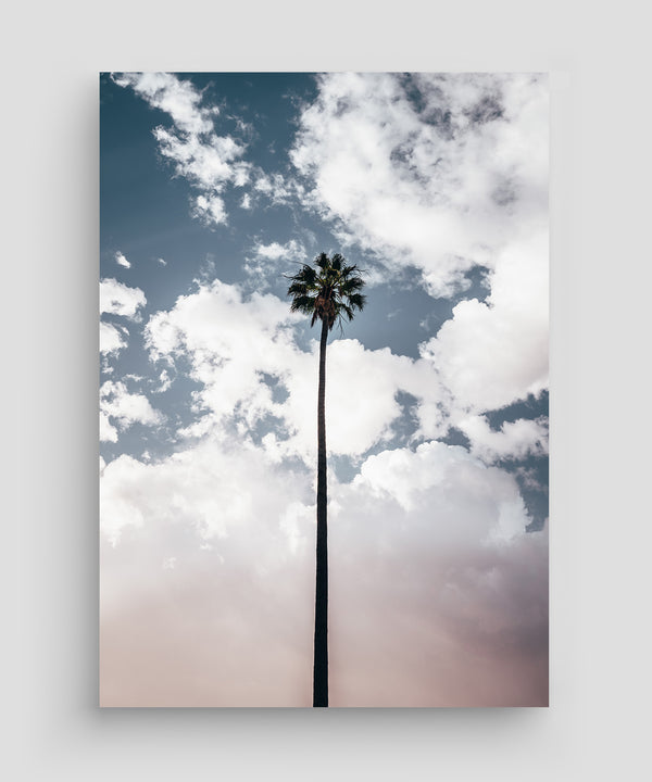 Kalifornien - Los Angeles Palmen Poster